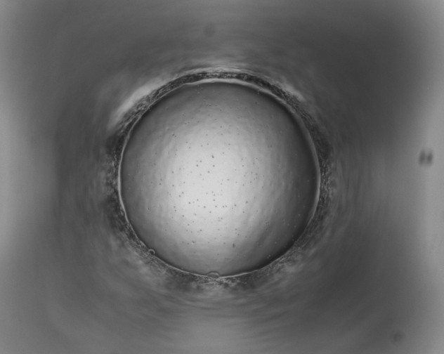 X0000113241255200909241538