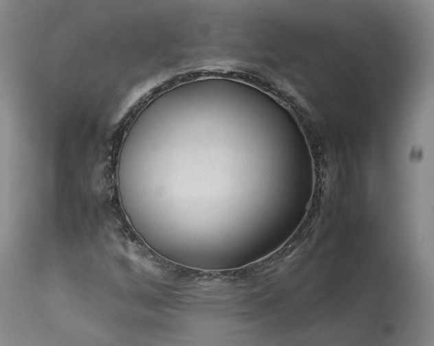 X0000113241256200909241538