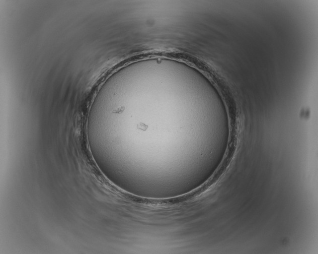 X0000113241257200909241538