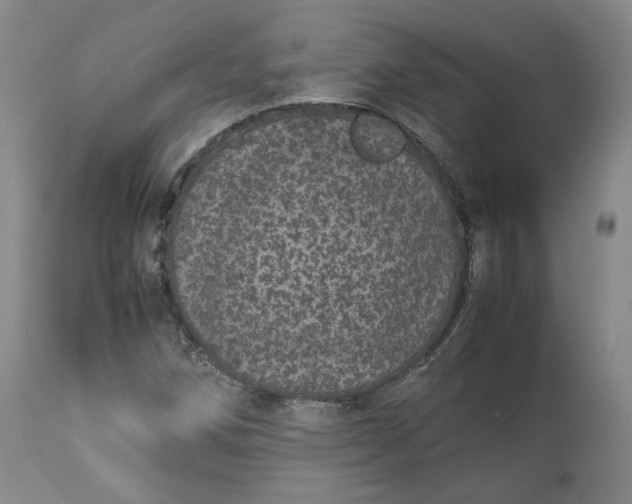 X0000113241258200909241538