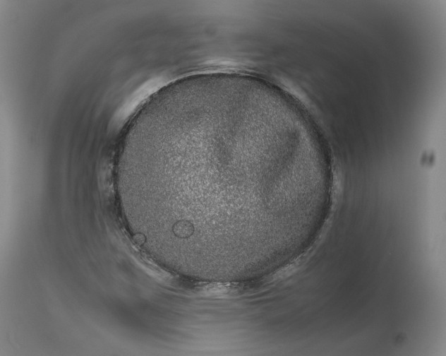 X0000113241259200909241538