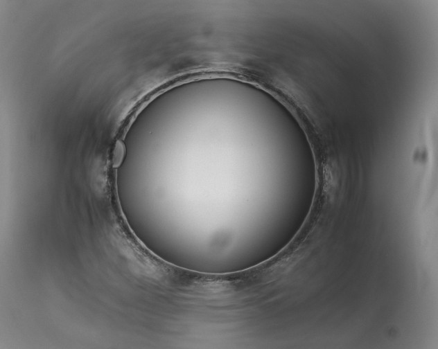 X0000113241260200909241538