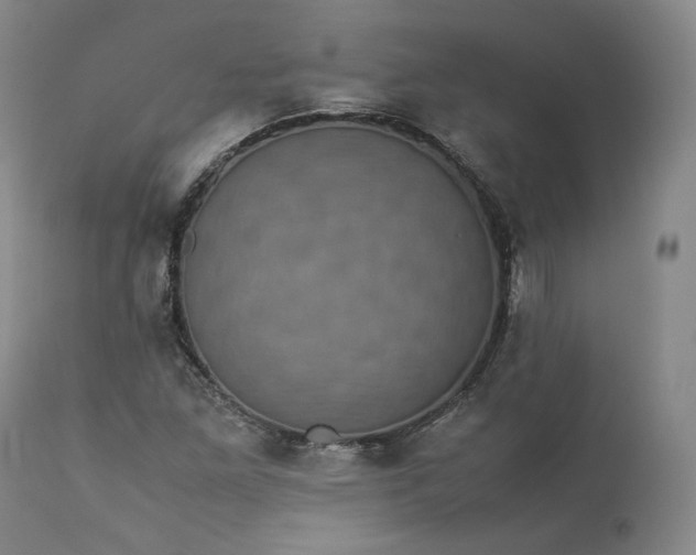 X0000113241261200909241538