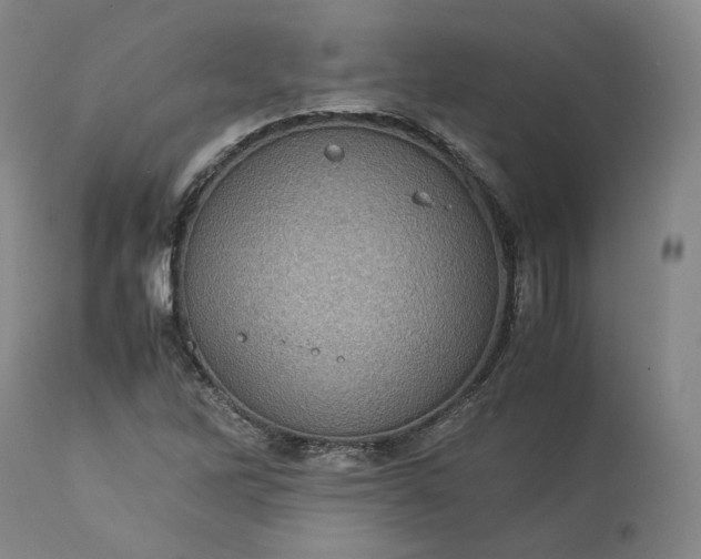 X0000113241262200909241538