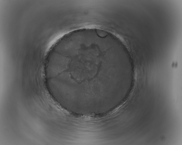 X0000113241263200909241538