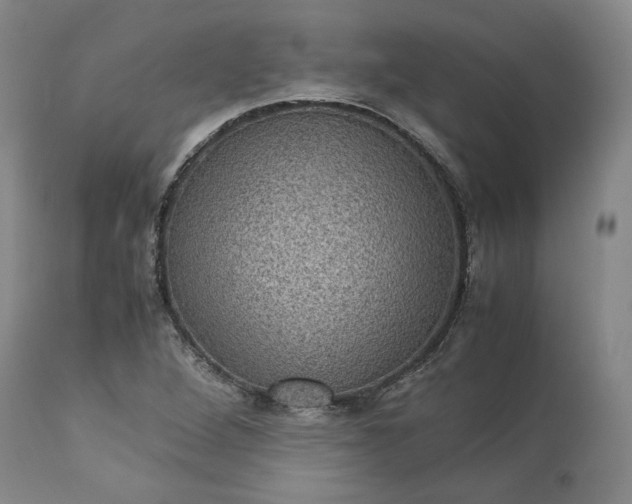 X0000113241264200909241538