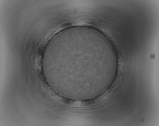 X0000113241265200909241538