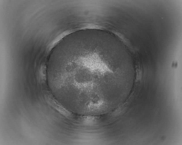 X0000113241266200909241538