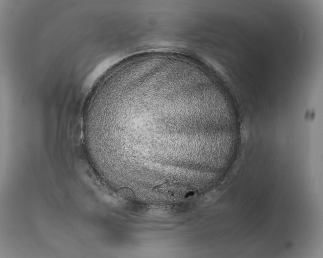 X0000113241267200909241538