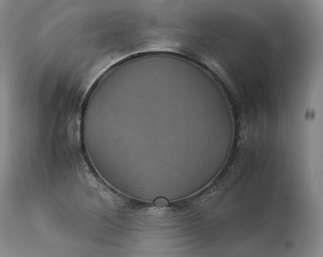 X0000113241268200909241538