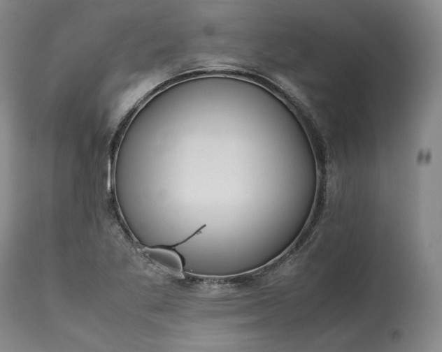 X0000113241269200909241538