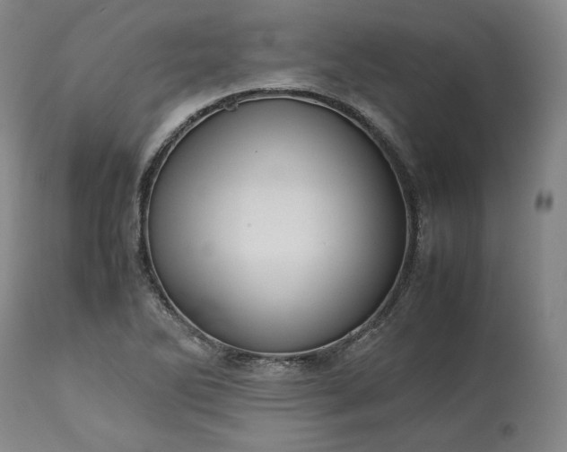 X0000113241270200909241538