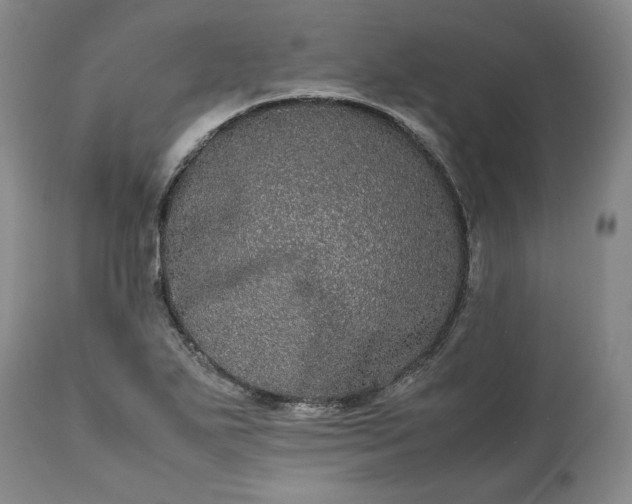 X0000113241271200909241538