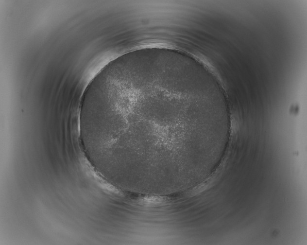 X0000113241274200909241538