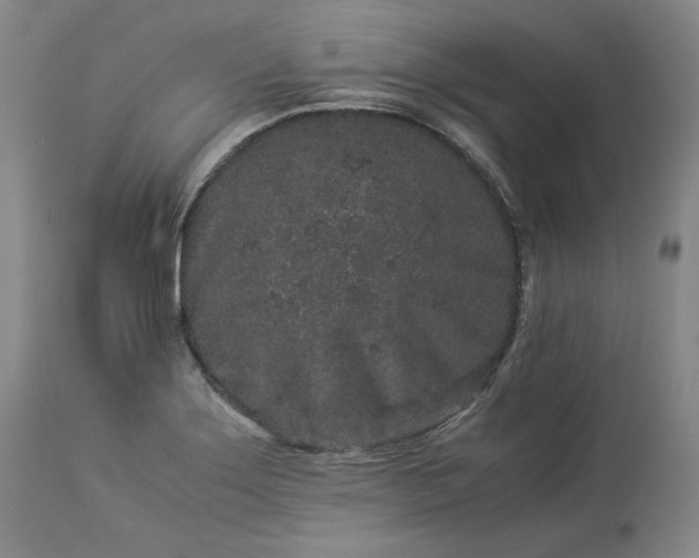 X0000113241275200909241538