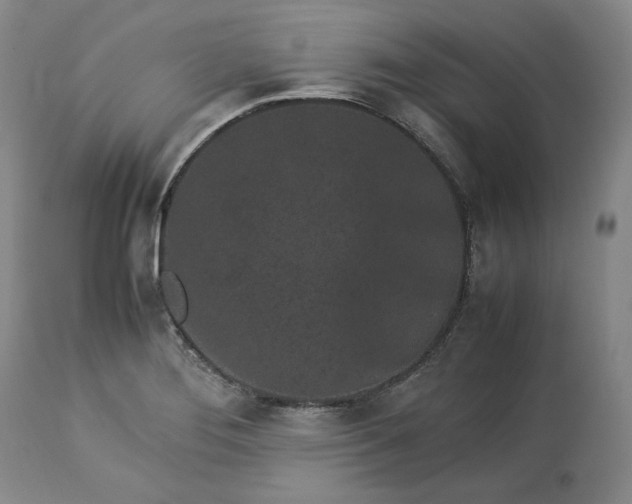 X0000113241276200909241538