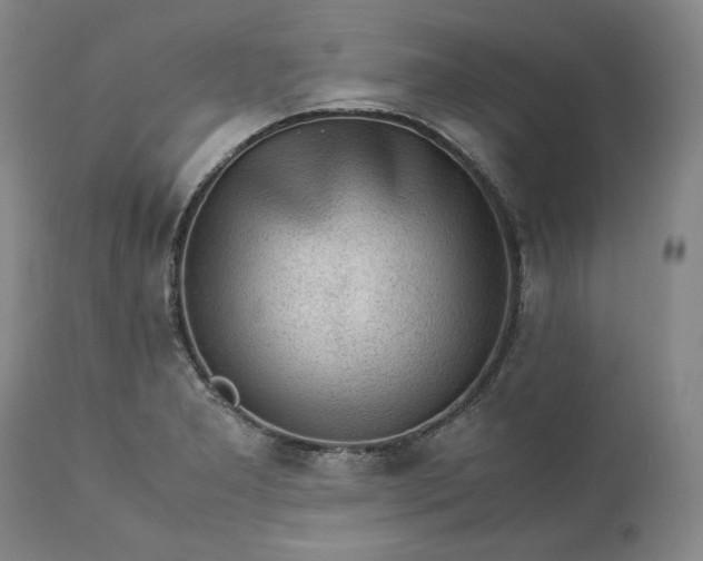 X0000113241277200909241538