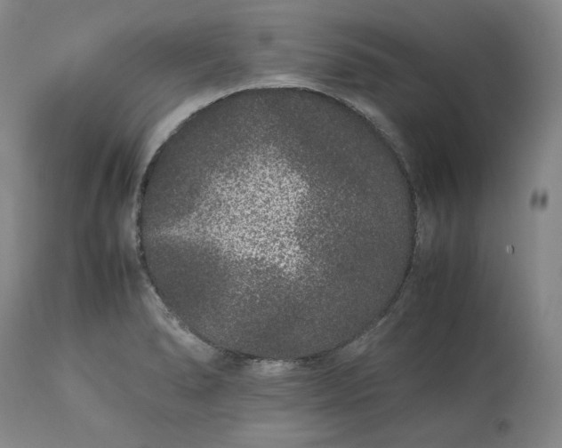 X0000113241278200909241538