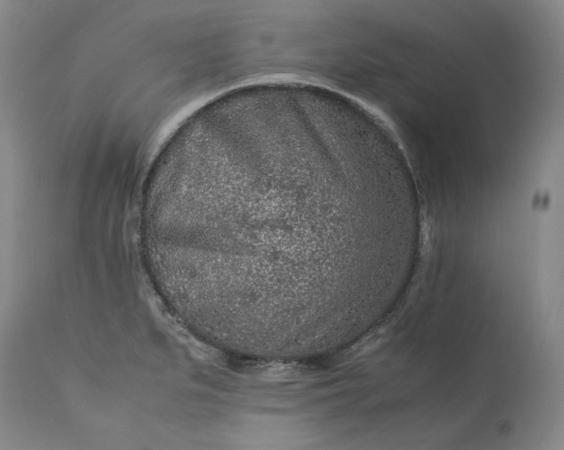 X0000113241279200909241538