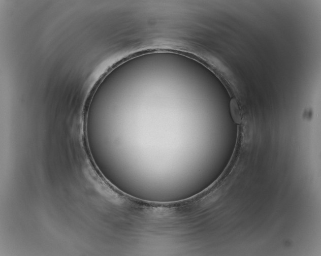 X0000113241280200909241538