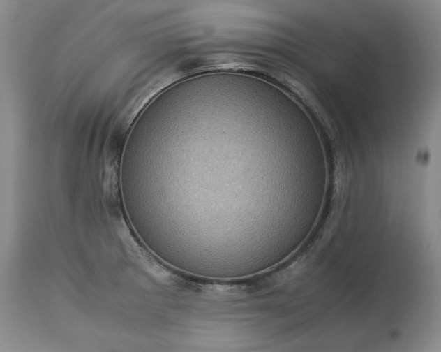 X0000113241281200909241538