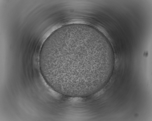 X0000113241282200909241538