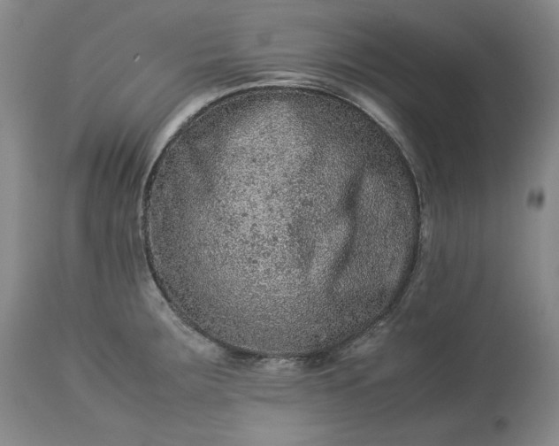 X0000113241283200909241538