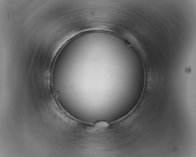 X0000113241284200909241538