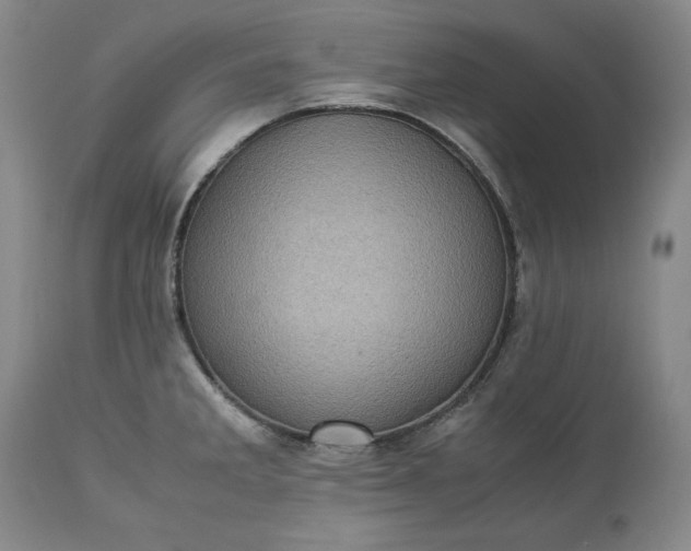 X0000113241285200909241538