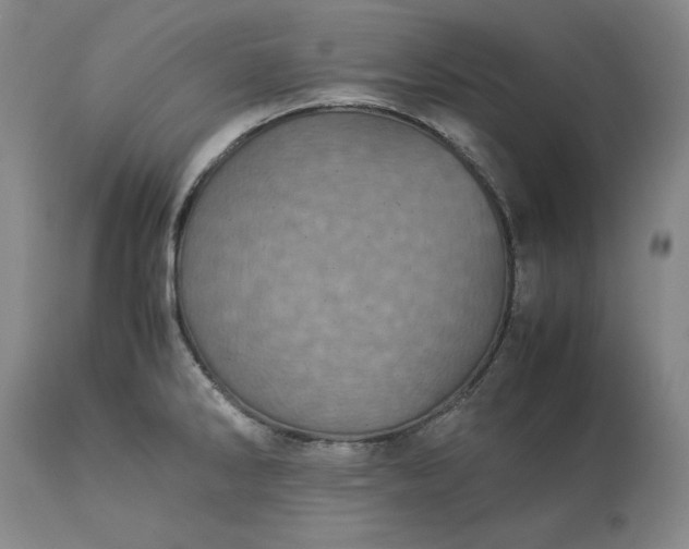 X0000113241286200909241538