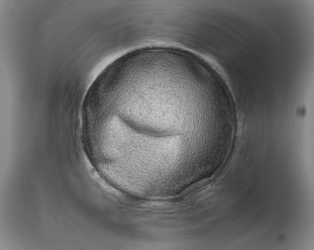 X0000113241287200909241538