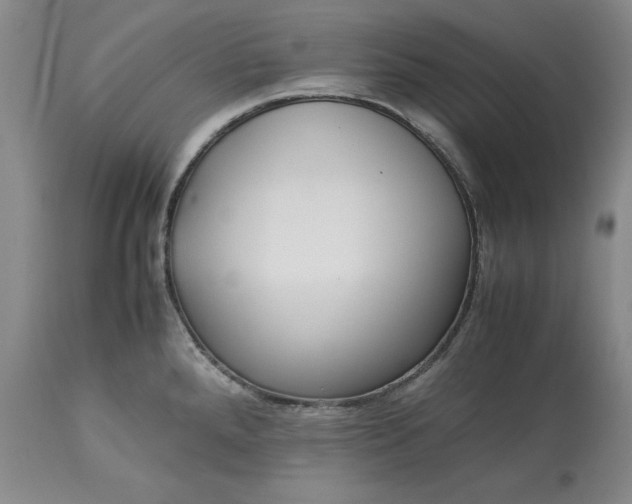 X0000113241288200909241538