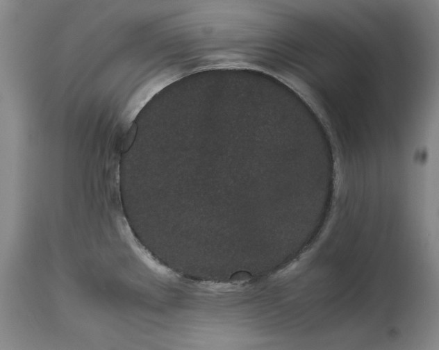 X0000113241289200909241538