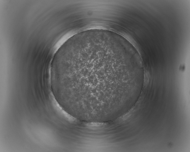 X0000113241290200909241538