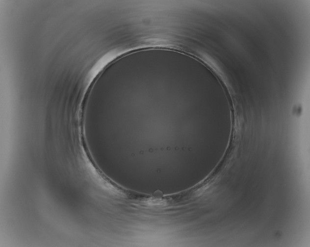 X0000113241291200909241538