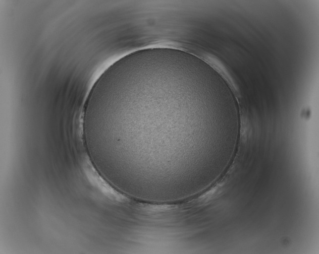 X0000113241292200909241537