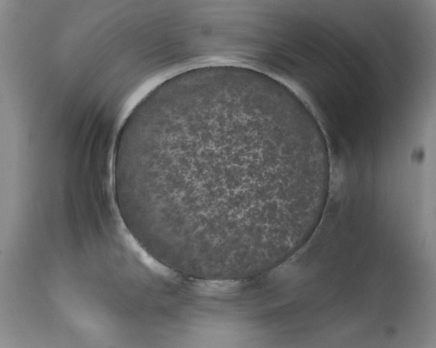 X0000113241294200909241537