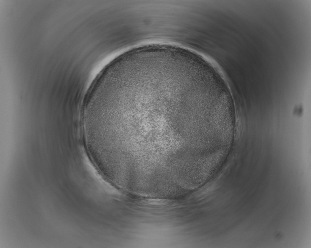 X0000113241295200909241537