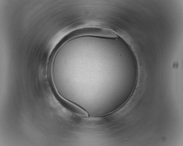 X0000113241296200909241537