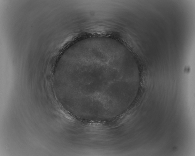 X0000113241297200909241537