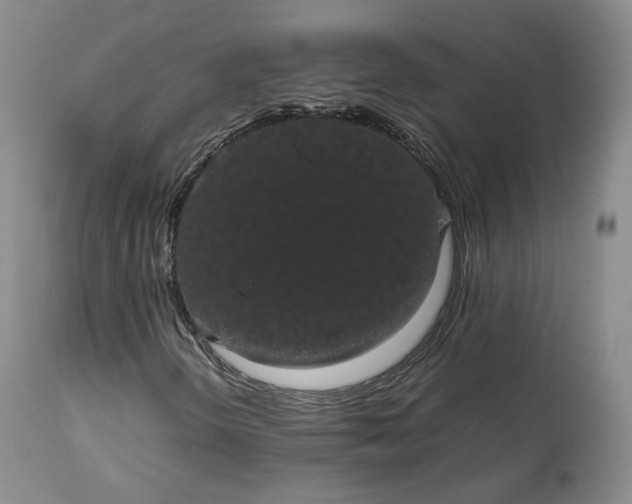 X0000113241298200909241537