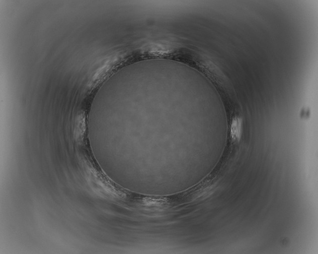 X0000113241299200909241537