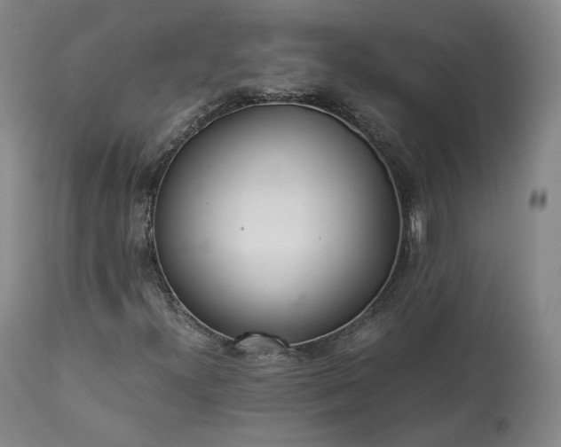 X0000113241300200909241537