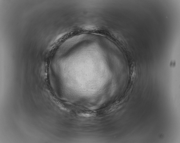 X0000113241301200909241537