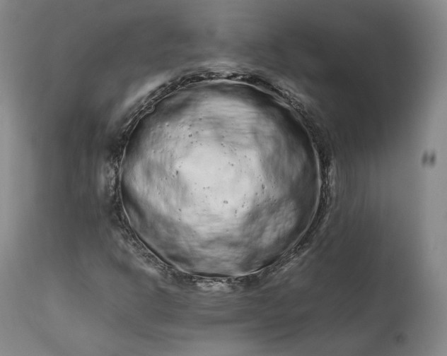 X0000113241302200909241537