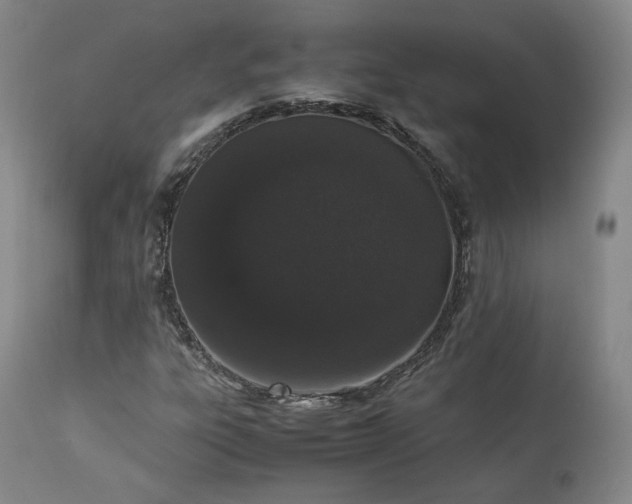 X0000113241303200909241537