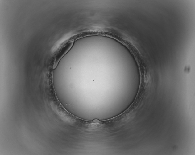 X0000113241304200909241537