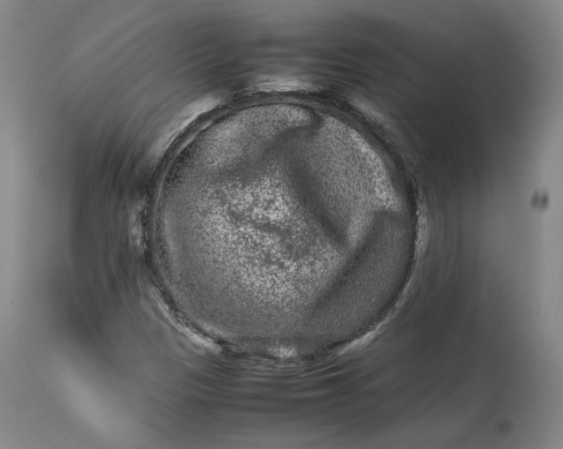 X0000113241305200909241537