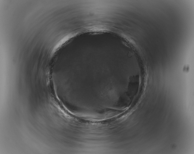 X0000113241306200909241537