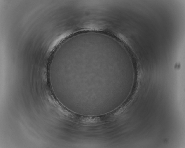 X0000113241307200909241537